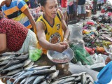 営業を再開した市場で鮮魚を売る男性。