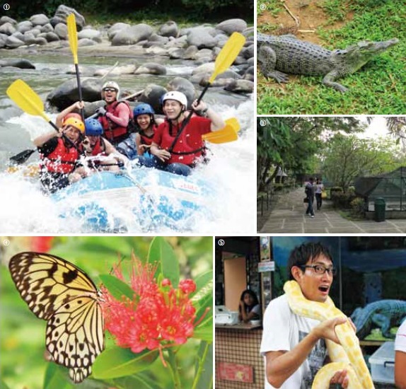 フィリピン White Water Rafting Inside Crocodile Park ホワイト ウォーター ラフティング クロコダイルパーク内 ダバオ 観光情報 フィリピンプライマー